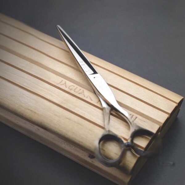 01 Pcs – Premium Quality Stainless Steel Scissors – Sharp, Rust-resistant, Multipurpose Cutting Tool For Home, Office & Craft Use | Premium Scissors - Image 4